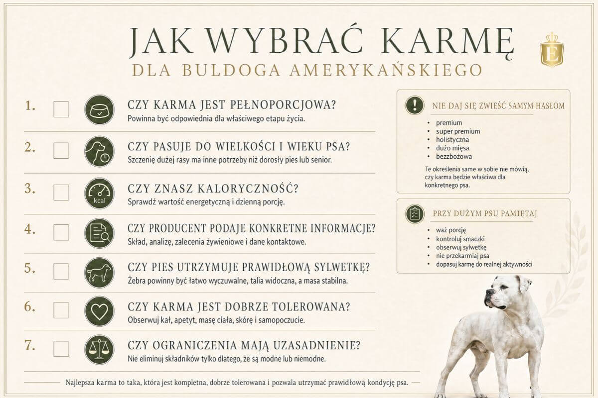 Jak wybrać karmę dla buldoga amerykańskiego, praktyczna checklista